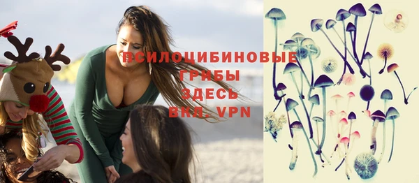 метамфетамин Белокуриха