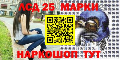 mdpv Кингисепп