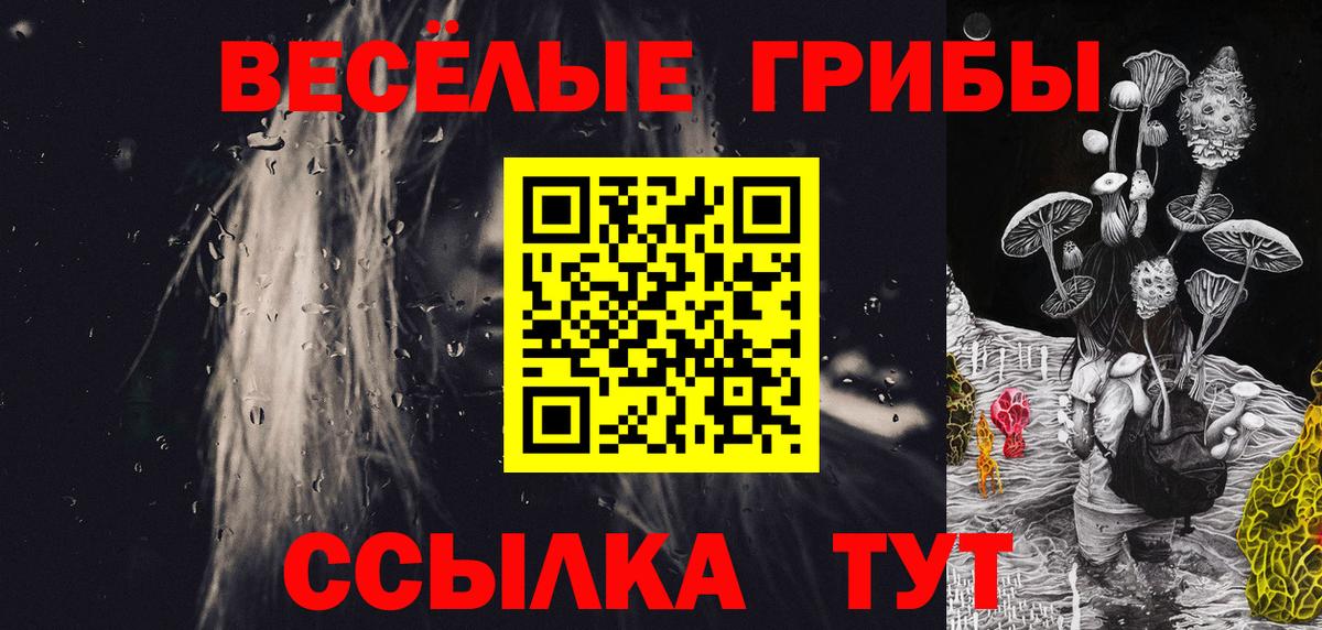 Свободный  Псилоцибиновые грибы GOLDEN TEACHER  Вход с VPN 